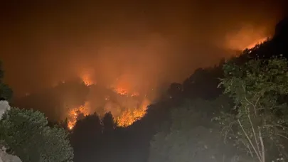Mersin'de iki ilçede orman yangınları sürüyor