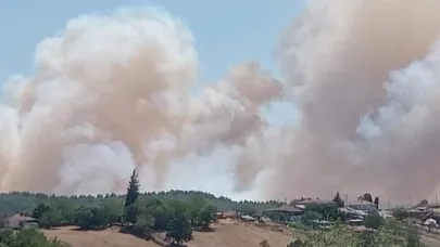 Kocaeli'de orman yangını!