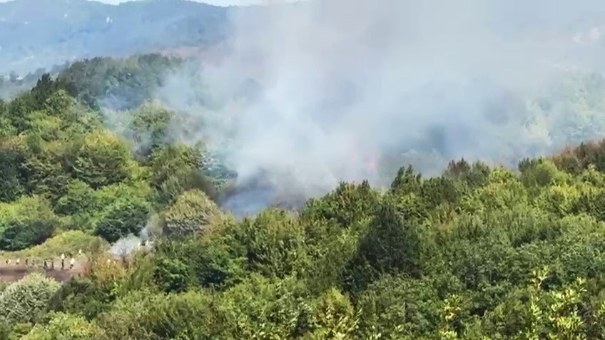 Bartın'da orman yangını!