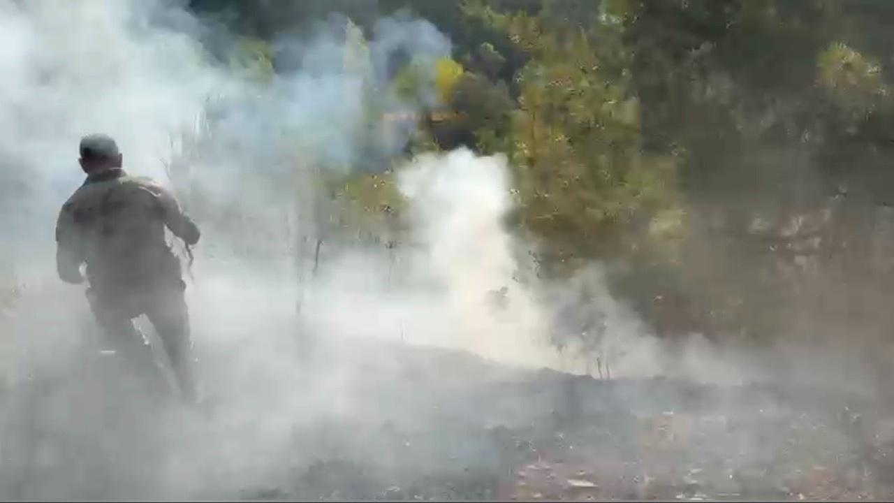 Osmaniye’de orman yangını