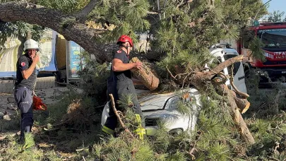 Düz yolda giderken kabusu yaşadı