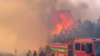 Karabük'te korkutan orman yangını