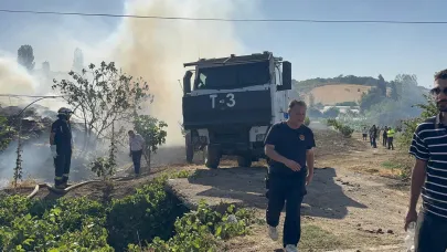 Yalova'da büyükbaş hayvanlar alevlerden son anda kurtarıldı