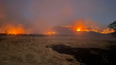 Diyarbakır'ın 3 ilçesinde etkili olan yangına müdahale devam ediyor