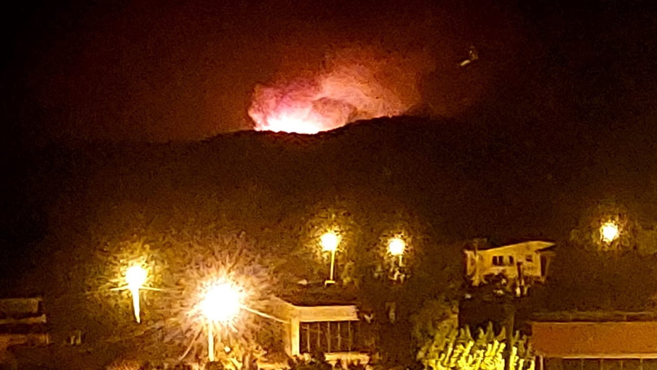 Bayramiç'te orman yangını