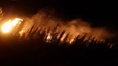 Urla'da orman yangınına müdahale devam ediyor