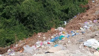Alaplı'da yol kenarına bırakılan çöpler çevre kirliliğine yol açıyor
