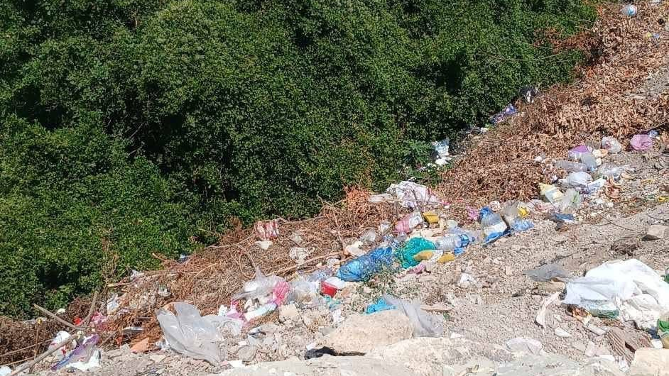 Alaplı'da yol kenarına bırakılan çöpler çevre kirliliğine yol açıyor