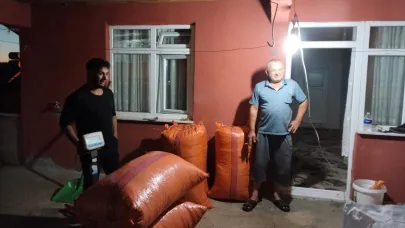 Alaplı'da hasat edilen fındıklar satışa çıktı