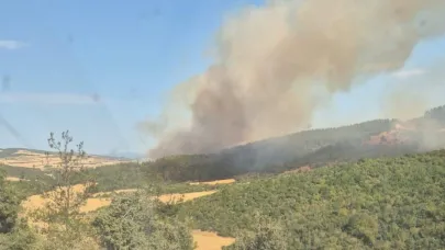 Gelibolu'da orman yangını: Karadan ve havadan müdahale ediliyor