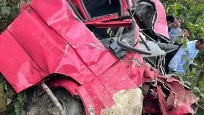 Giresun’da kamyonet fındık bahçesine yuvarlandı