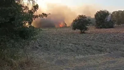 Bursa'da korkutan yangın