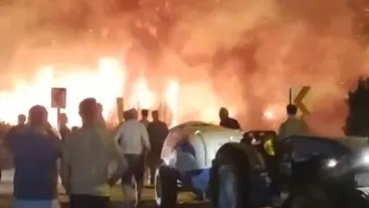 Bursa'da yangınların biri bitiyor biri başlıyor