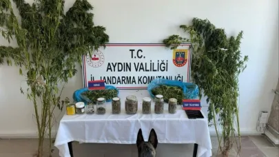 Uyuşturucu operasyonunda 12 şüpheli yakalandı