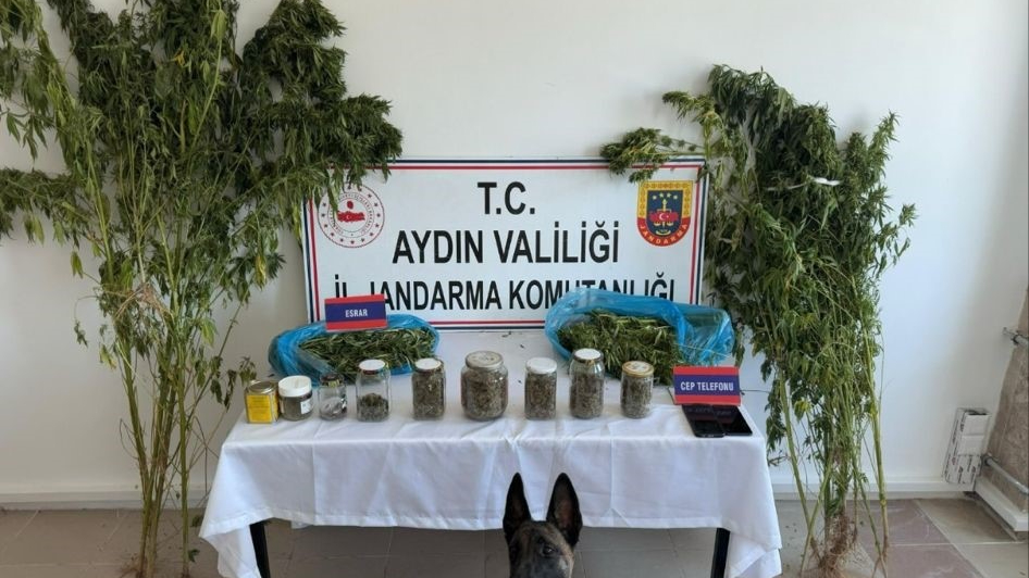 Uyuşturucu operasyonunda 12 şüpheli yakalandı