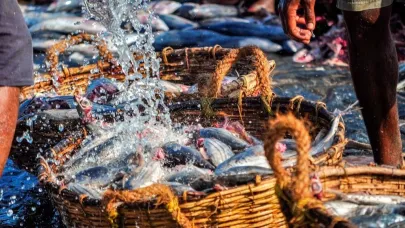 Yasak 1 Eylül'de sona erecek: Bolluk yaşanması bekleniyor