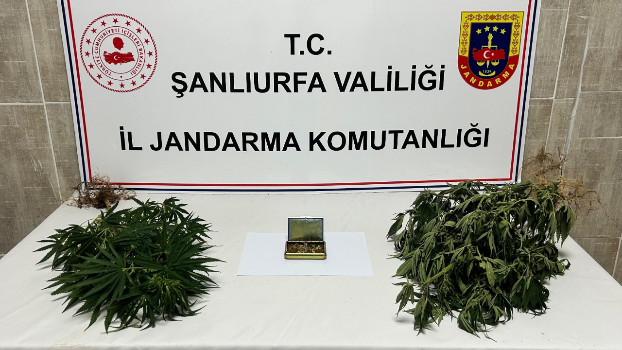 Şanlıurfa’da zehir tacirlerine operasyon: 6 gözaltı