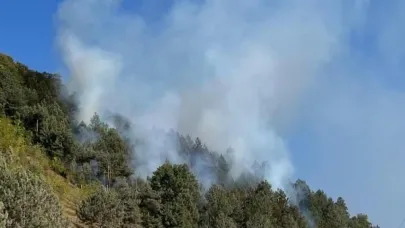 Sinop'ta örtü yangını ormanı tehdit etti