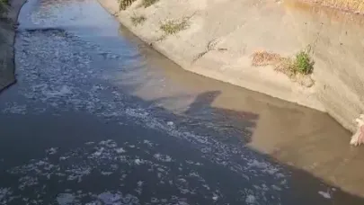 Amasya'da sulama kanalı kirlilikten köpürdü, balık ölümleri görülmeye başladı