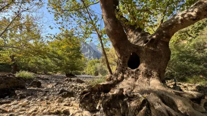 Üzümdere Irmağı kuraklığa yenik düştü!