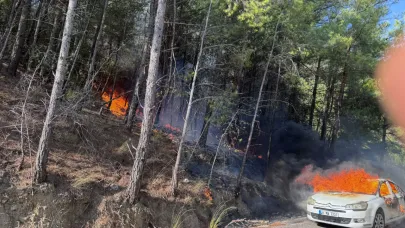 Araçtan ormana sıçrayan yangın panik yarattı