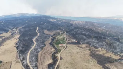 Gelibolu yangınında herkesin yüreğini ferahlatan görüntü