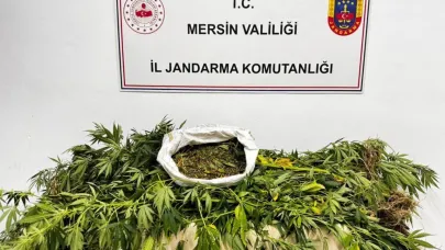 Mersin'de uyuşturucu operasyonu