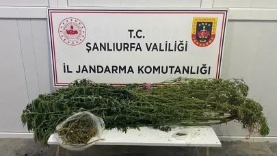 Şanlıurfa'da uyuşturucuya geçit yok