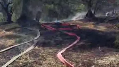 Mudanya'da korkutan yangın