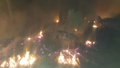 Yatağan'da orman yangını söndürüldü
