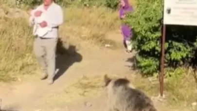 Bebekli adam ayı saldırısına uğradı