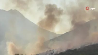 Yangın makilikten ormana yayıldı