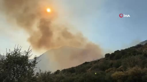 Muğla'daki yangını söndürme çalışmaları aralıksız sürüyor
