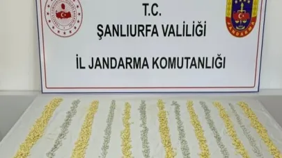MİT’in istihbaratıyla harekete geçen jandarma operasyon düzenledi!