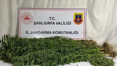 Şanlıurfa’da zehir tacirlerine geçit yok: 15 Gözaltı