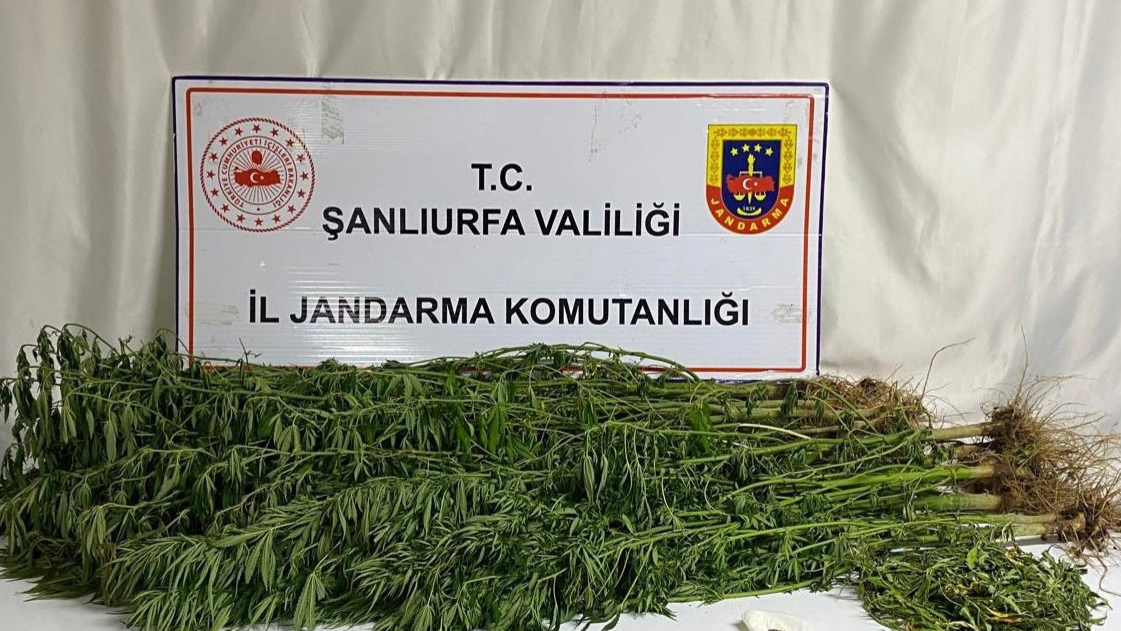 Şanlıurfa’da zehir tacirlerine geçit yok: 15 Gözaltı