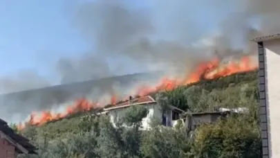 Orhangazi'de orman yangını çıktı
