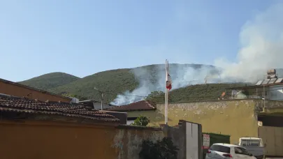 Bursa'daki orman yangını kontrol altına alındı