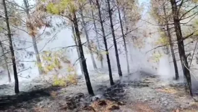 Şanlıurfa’da orman yangını
