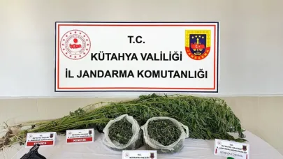 Kütahya'da uyuşturucu operasyonu: 1 gözaltı