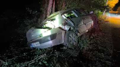 Otomobil kavak ağaçlarına çarptı: 4 yaralı