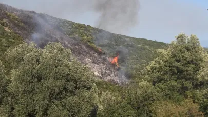 Orhangazi'de çıkan orman yangınıyla ilgili 1 kişi gözaltına alındı