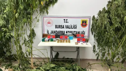 İznik'te kenevir ve silah kaçakçılığı operasyonu