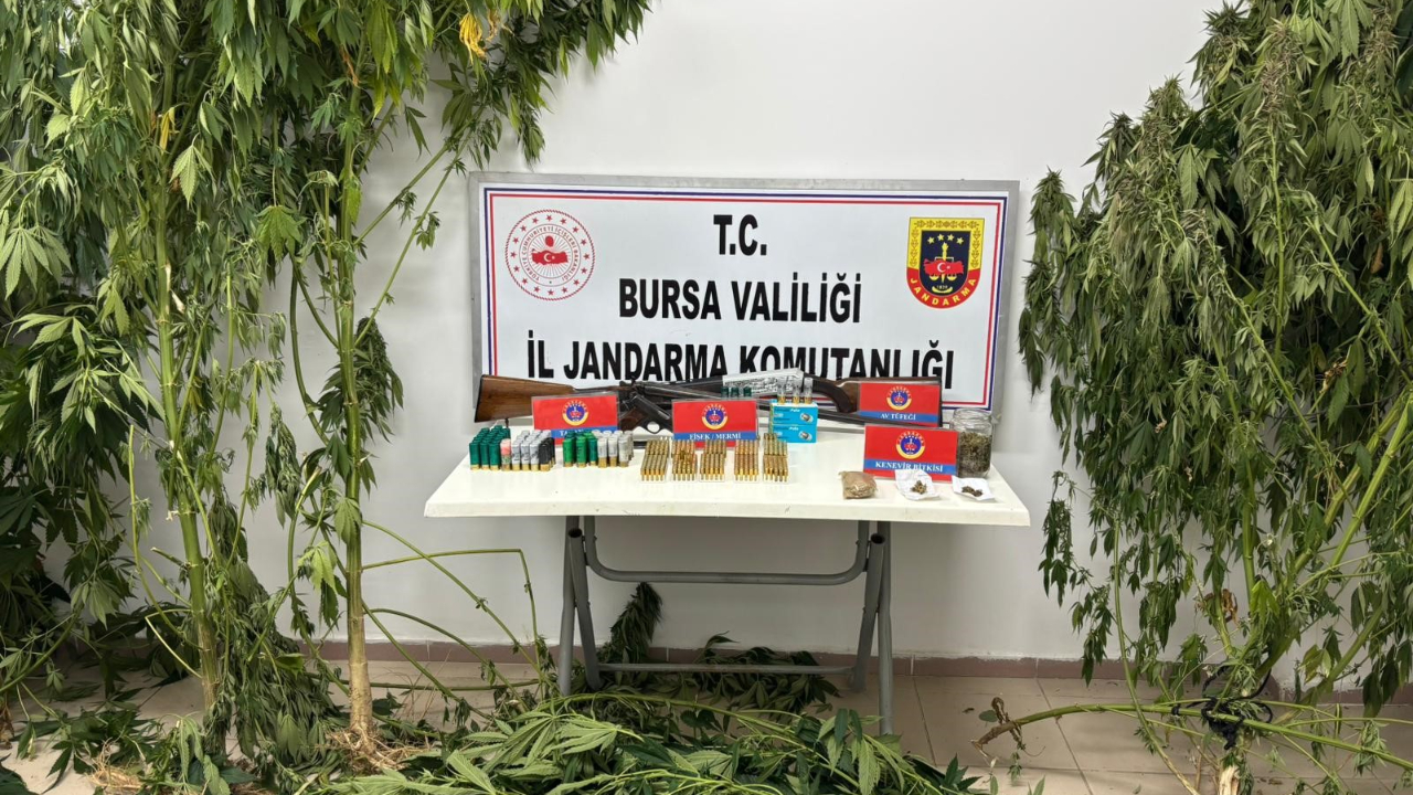 İznik'te kenevir ve silah kaçakçılığı operasyonu