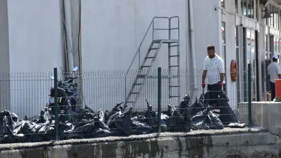 Balık ölümleri arttı, kokudan durulmuyor!