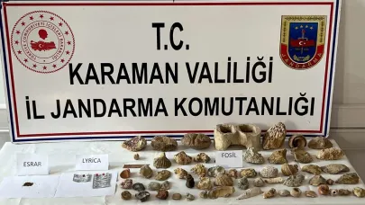 Jandarma operasyonunda 63 fosil ele geçirildi