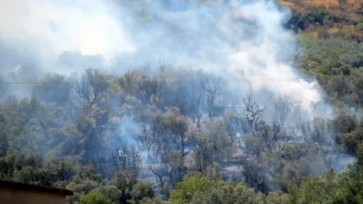 Mudanya'da korkutan yangın