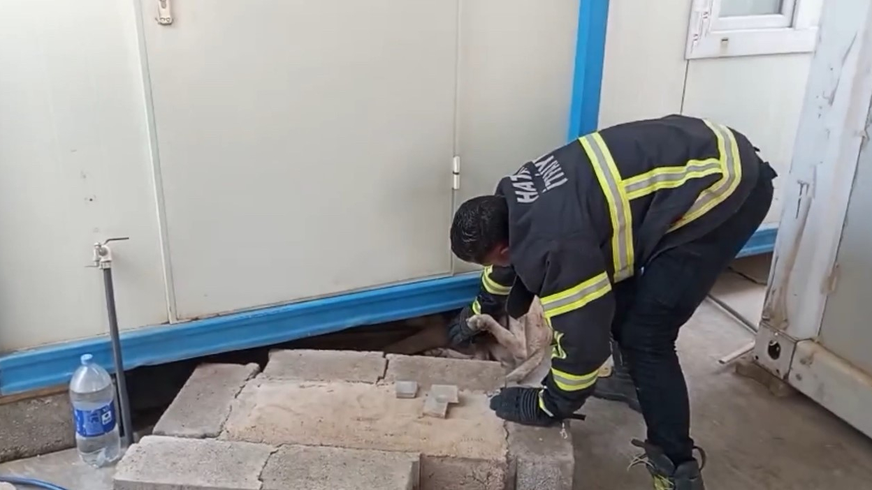 Hatay'da konteynerin altına sıkışan köpek kurtarıldı