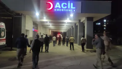 Ağaçtan düşen kişi hayatını kaybetti