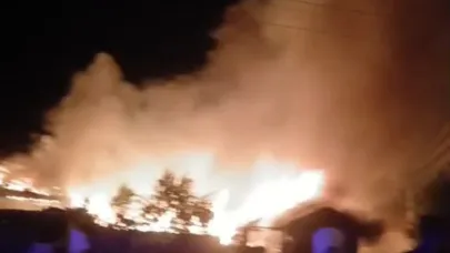 Kütahya'da köy alevlere teslim oldu